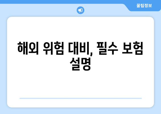 해외 위험 대비, 필수 보험 설명