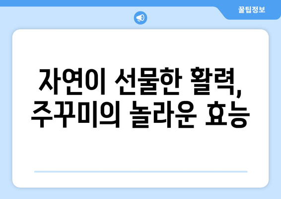 주꾸미 타우린| 피로 회복의 비밀, 자연이 선물하는 활력 | 주꾸미 효능, 타우린, 피로 해소, 천연 건강 식품