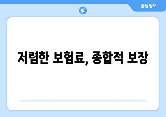 저렴한 보험료, 종합적 보장