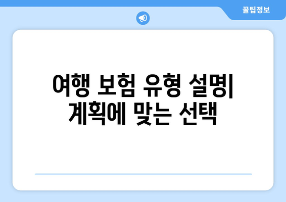 여행 보험 유형 설명| 계획에 맞는 선택