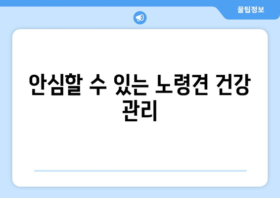 안심할 수 있는 노령견 건강 관리