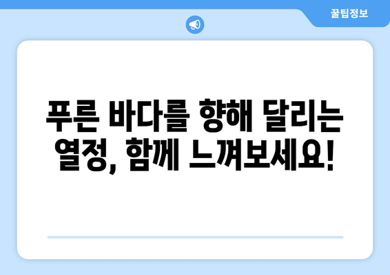 바다의 날 기념 마라톤 대회 참가 후기| 푸른 바다를 향한 뜨거운 열정! | 마라톤, 대회 후기, 바다의 날