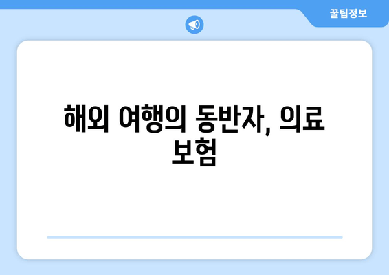 해외 여행의 동반자, 의료 보험