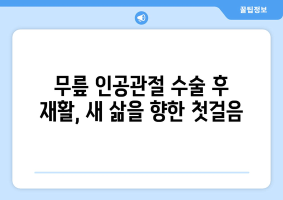 무릎 인공관절 수술, 성공적인 회복 위한 필수 정보 | 수술 전 준비, 재활, 주의사항, 궁금증 해결