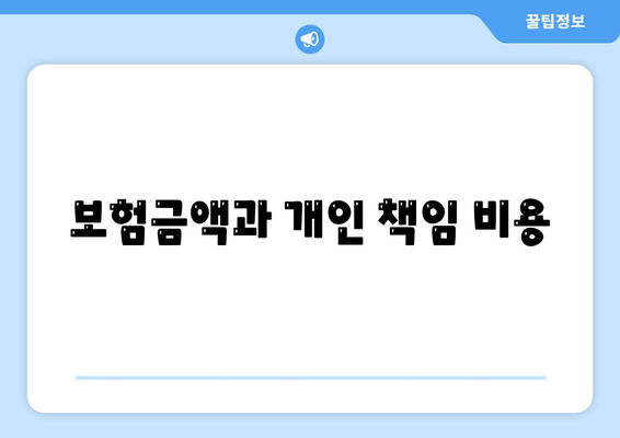 보험금액과 개인 책임 비용