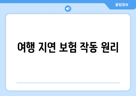 여행 지연 보험 작동 원리