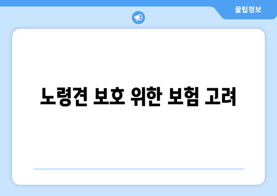 노령견 보호 위한 보험 고려