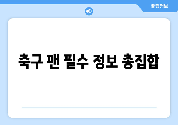 축구 팬 필수 정보 총집합