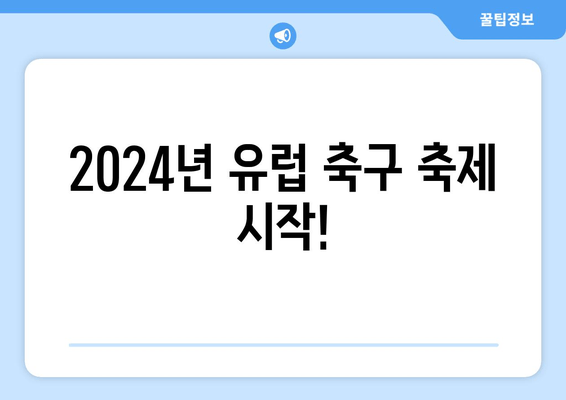 2024년 유럽 축구 축제 시작!