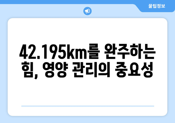 마라톤 풀코스 완주를 위한 준비 가이드| 훈련 계획부터 영양 관리까지 | 마라톤, 풀코스, 훈련, 영양, 레이스 전략