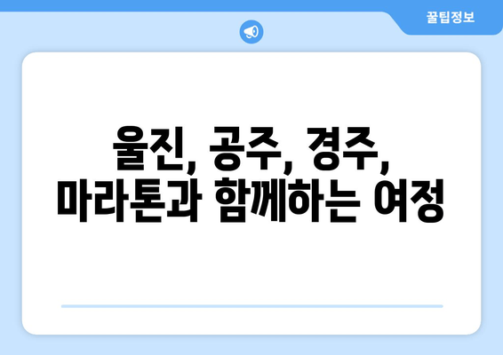 울진 10km, 공주 32.195km, 경주마라톤 접수 완료! 나의 마라톤 도전, 이제 시작 | 마라톤, 경주, 울진, 공주, 완주 후기, 러닝 팁