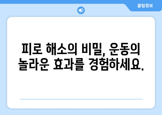 만성 피로 극복, 운동의 놀라운 효과| 건강한 생활 방식의 필수 요소 | 만성 피로, 운동, 건강, 피로 해소, 에너지 증진