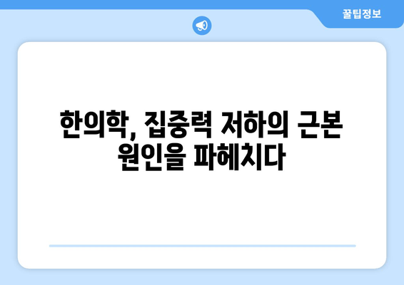 집중력과 면역력 UP! 한의약으로 찾는 건강 비법 | 한의학, 집중력 향상, 면역력 강화, 건강 관리