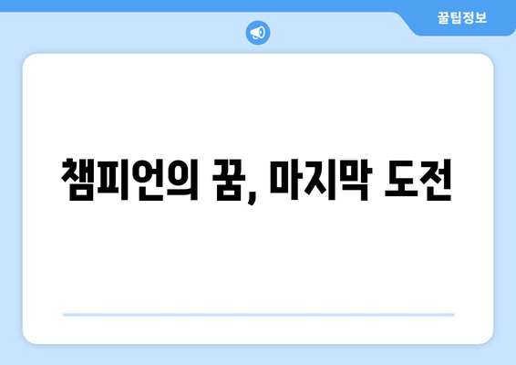 챔피언의 꿈, 마지막 도전