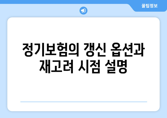 정기보험의 갱신 옵션과 재고려 시점 설명