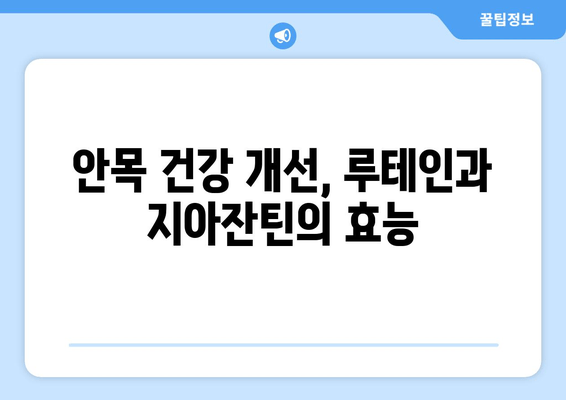 눈 건강 지키는 필수 영양소, 루테인과 지아잔틴 | 안목 건강 개선, 눈 건강 관리, 눈 건강 식품