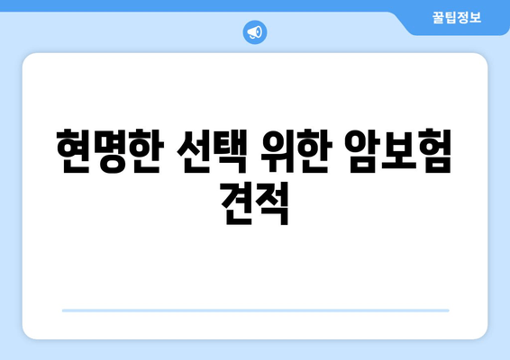 현명한 선택 위한 암보험 견적