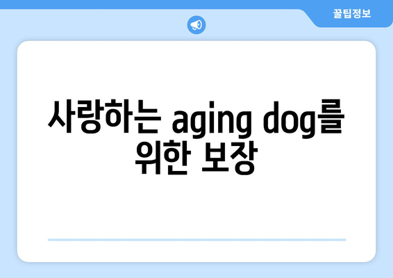 사랑하는 aging dog를 위한 보장