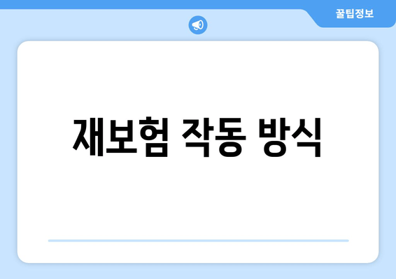 재보험 작동 방식