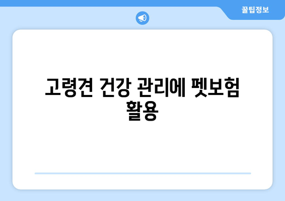 고령견 건강 관리에 펫보험 활용