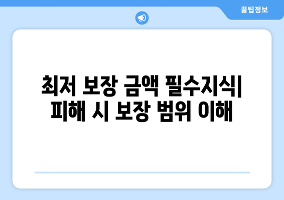 최저 보장 금액 필수지식| 피해 시 보장 범위 이해