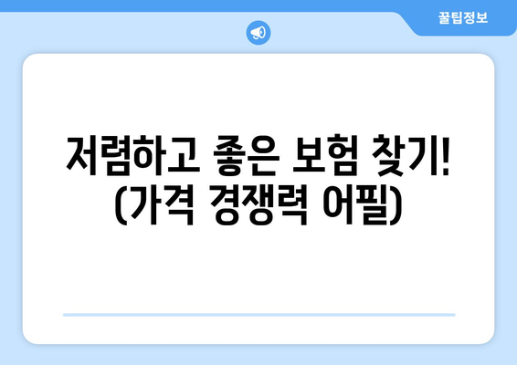 저렴하고 좋은 보험 찾기! (가격 경쟁력 어필)