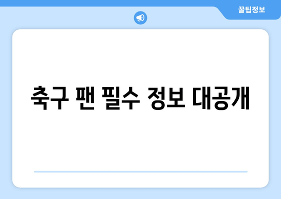 축구 팬 필수 정보 대공개