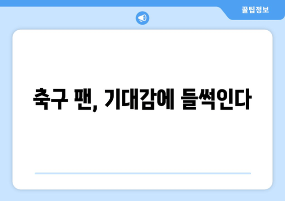 축구 팬, 기대감에 들썩인다