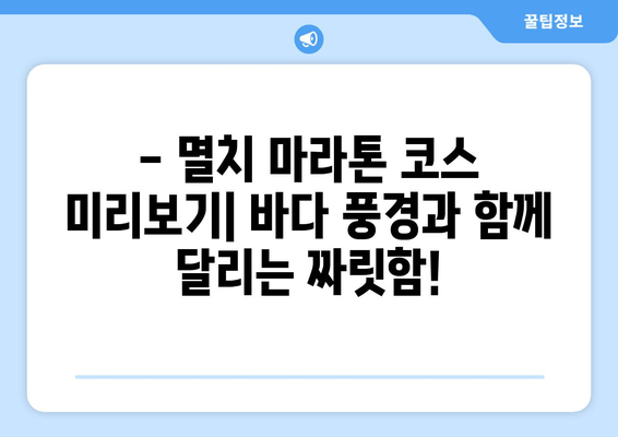 바다의 날 기념 멸치 마라톤 대회| 코스 정보, 참가 안내, 주차 가이드 | 바다의 날, 마라톤, 멸치 마라톤, 주차 정보