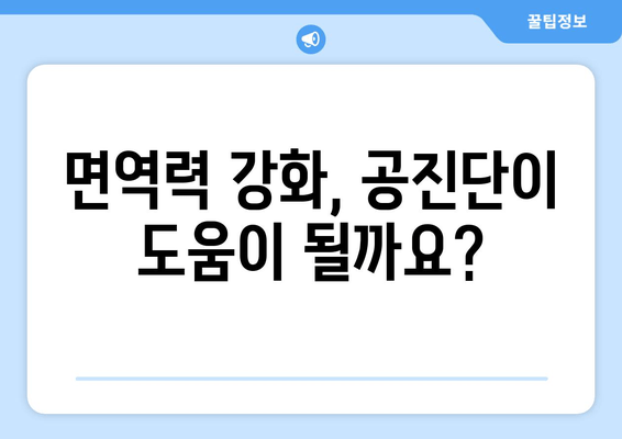 공진단 효능과 효과 완벽 가이드 | 건강, 면역력, 피로 회복,  체력 증진