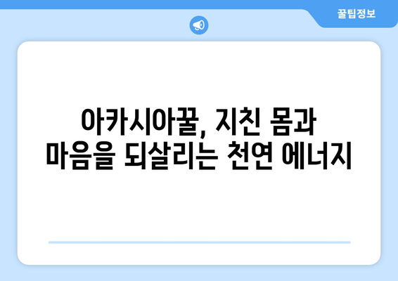 천연 피로회복제 아카시아꿀의 놀라운 효능| 면역력 강화, 수면 개선, 피부 미용까지 | 건강, 꿀 효능, 피로 회복