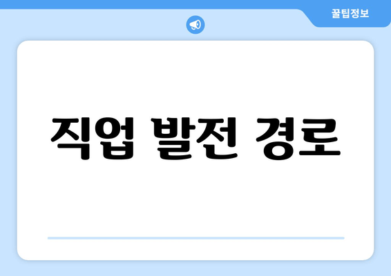 직업 발전 경로