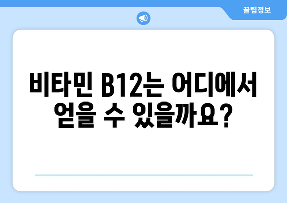 비타민 B12 결핍, 증상과 보충 방법 완벽 가이드 | 영양, 건강, 빈혈, 피로