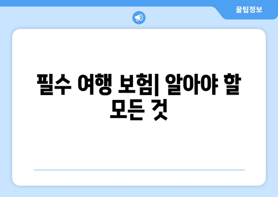 필수 여행 보험| 알아야 할 모든 것