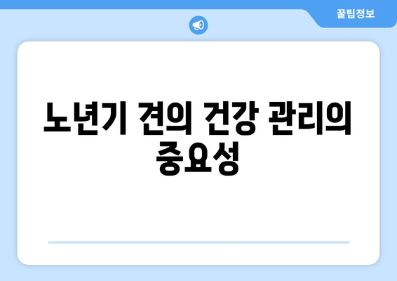 노년기 견의 건강 관리의 중요성