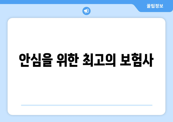 안심을 위한 최고의 보험사