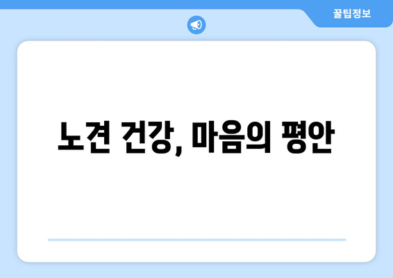 노견 건강, 마음의 평안