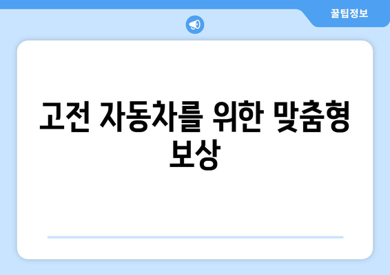 고전 자동차를 위한 맞춤형 보상