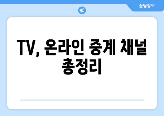 TV, 온라인 중계 채널 총정리