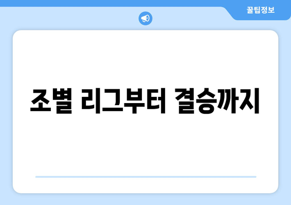 조별 리그부터 결승까지