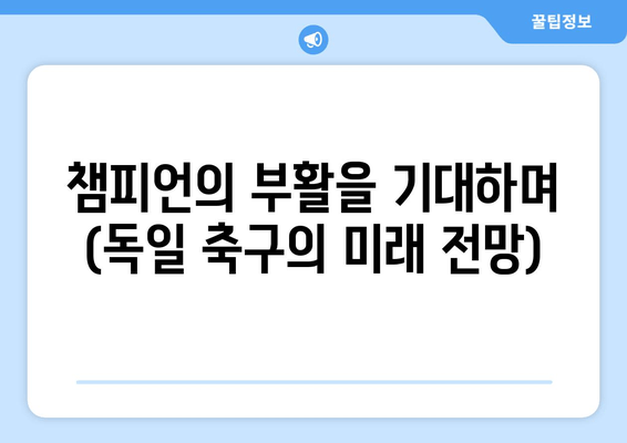 챔피언의 부활을 기대하며 (독일 축구의 미래 전망)