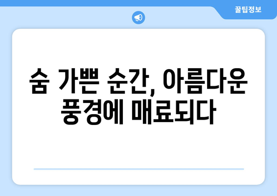 2024 김해 숲길 마라톤 10km 완주 후기| 힘들지만 아름다운 도전 | 김해, 숲길 마라톤, 10km, 완주 후기, 후기