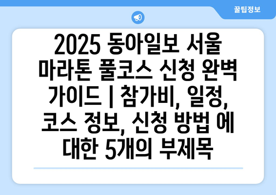 2025 동아일보 서울 마라톤 풀코스 신청 완벽 가이드 | 참가비, 일정, 코스 정보, 신청 방법