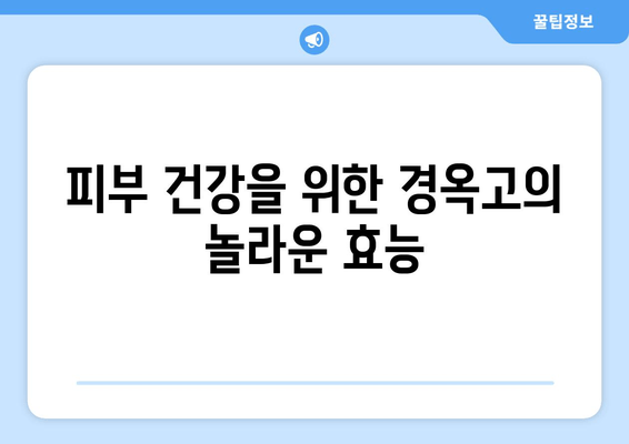 경옥고, 가격과 효능 그리고 맑고 젊은 피부의 비밀 | 피부 건강을 위한 천연 처방