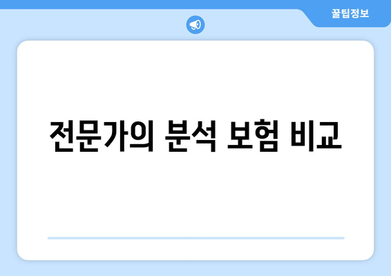 전문가의 분석 보험 비교