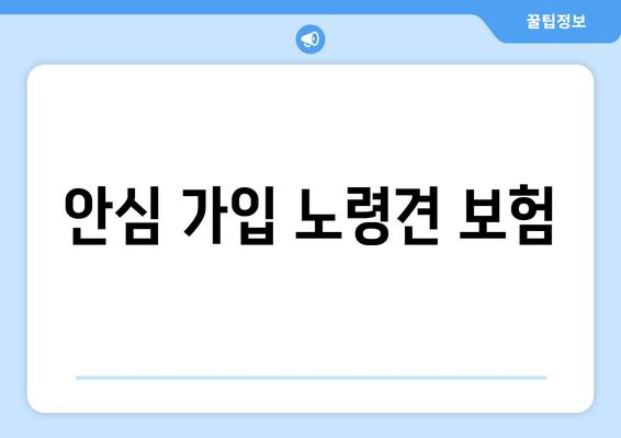 안심 가입 노령견 보험