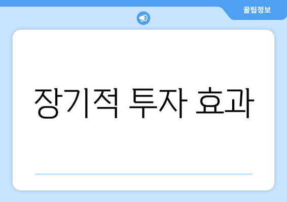 장기적 투자 효과