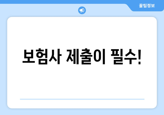 보험사 제출이 필수!