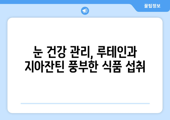 눈 건강 지키는 필수 영양소, 루테인과 지아잔틴 | 안목 건강 개선, 눈 건강 관리, 눈 건강 식품