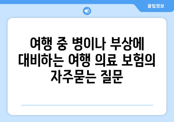 여행 중 병이나 부상에 대비하는 여행 의료 보험